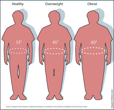 Is BMI the Ultimate measure of body fitness?