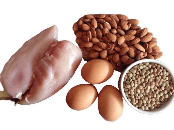 Best way to add protein in your food for weight loss