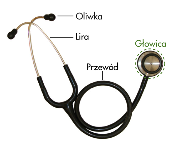 The Best Stethoscope Buying Guide
