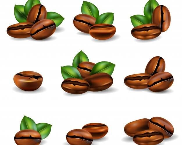Choosing the Perfect Coffee Beans