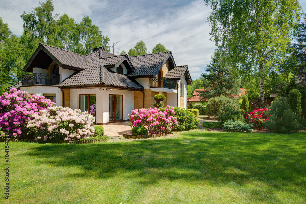 What to Do When Your Backyard Turns Into a Disaster Zone
