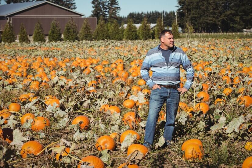 Best Pumpkin Patches In & Near Grand Junction, Colorado
