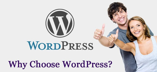 Here Are Top 10 Reasons To Choose WordPress for E-commerce Website Development