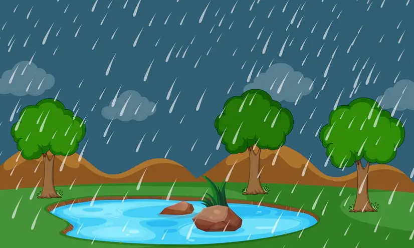 Top 7 Uses Of Rainwater At Home