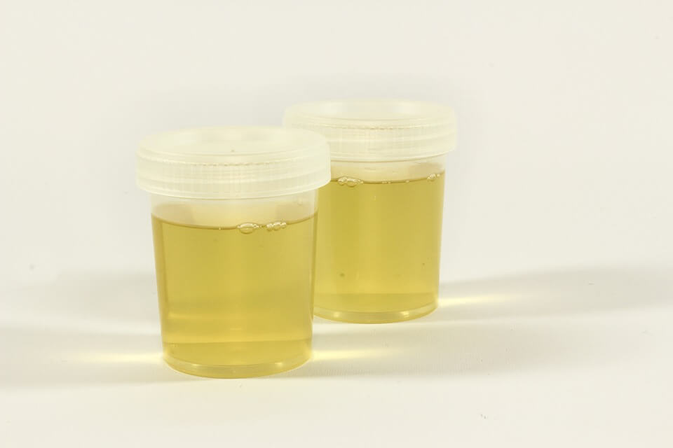 synthetic urine before you make a purchase